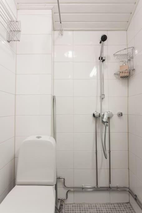 Kodikas Huoneisto Helsingin Keskustassa Lägenhet Helsingfors Exteriör bild